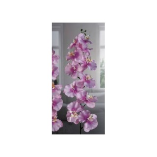 Orchidea 11f 4b ass4col cm126 | CarinCasa