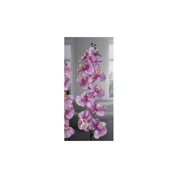 Orchidea 11f 4b ass4col cm126 | CarinCasa