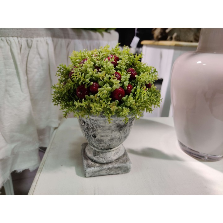 Vaso in ceramica pianta e melette rosse 12 x 18 cm |…