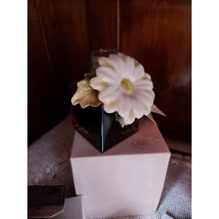 Bottiglia paradis da 200ml con margherita bianca…