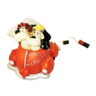 Coppia mucche just married | CarinCasa