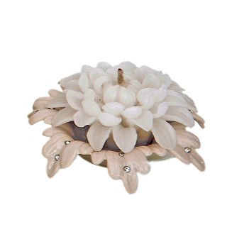 Cand.fiore+base md.cm.12 1/48 | CarinCasa