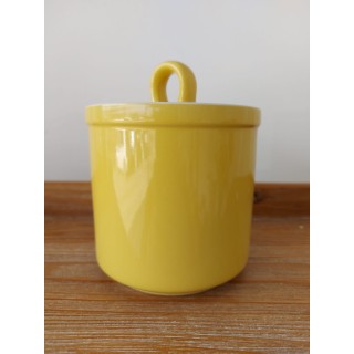 Barattolo gr.600 zanzibar giallo | CarinCasa