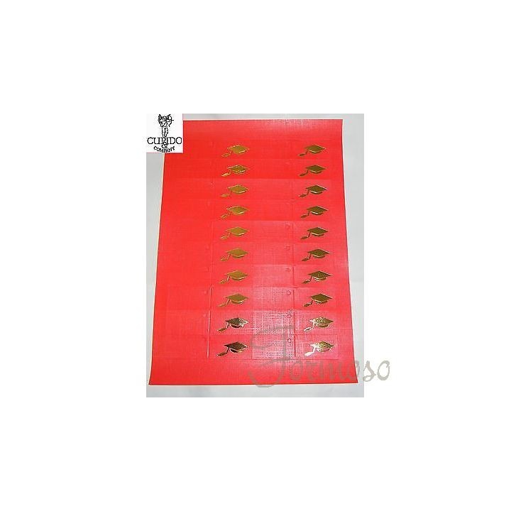 Biglietto laurea prezzo unitario 45 x 25 mm | CarinCasa