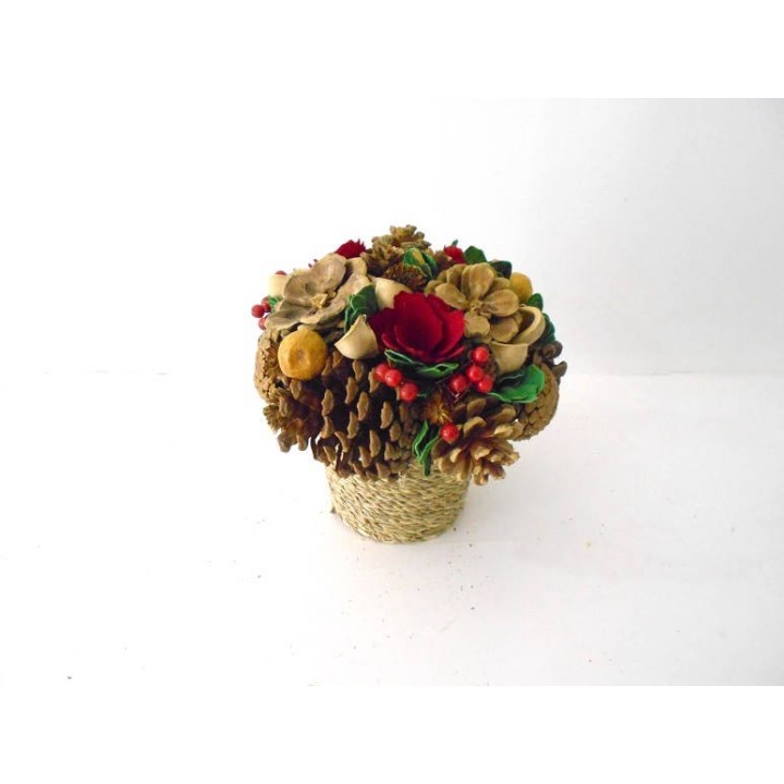 Vasetto c/pigne natural h.18 imb.4 | CarinCasa