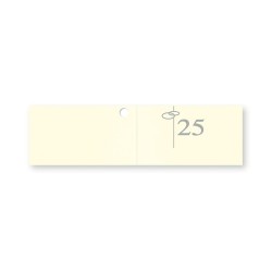 Biglietti 25esimo anniversario 45 x 25 mm