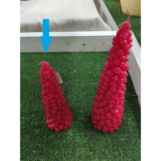 Pino di bacche rosse 20 cm | CarinCasa