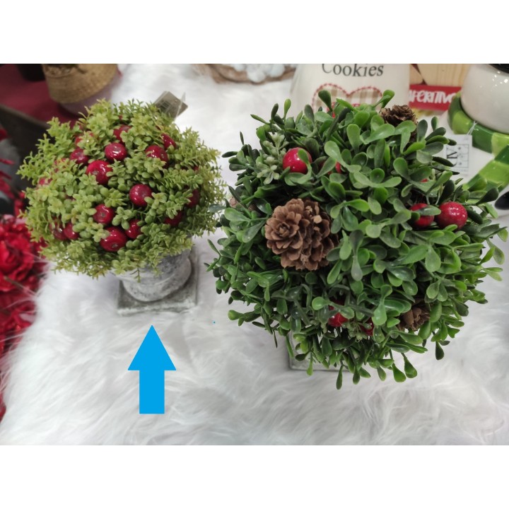 Vaso in ceramica pianta e melette rosse 12 x 18 cm |…