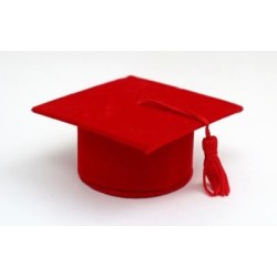 Tocco Laurea Alcantara Rosso