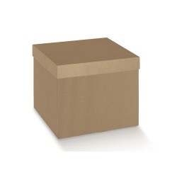 Scatola avana fondo/coperchio 250 x 250 x 150 mm