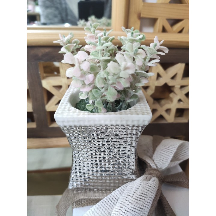 Cestino quadro argento con piantina 7,5 x 14 cm | CarinCasa