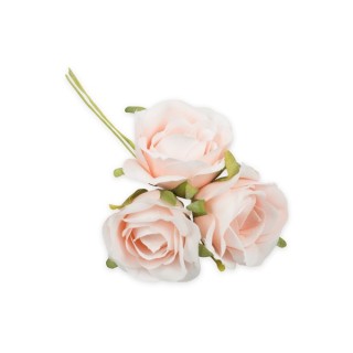 Rosellina media *288-36 cipria | CarinCasa