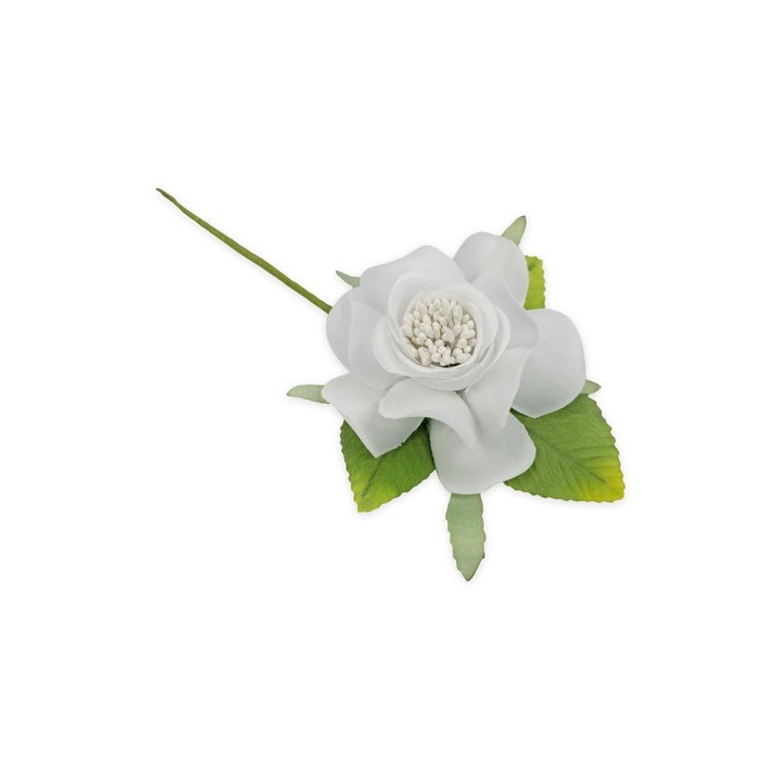 Camelia con foglie | CarinCasa