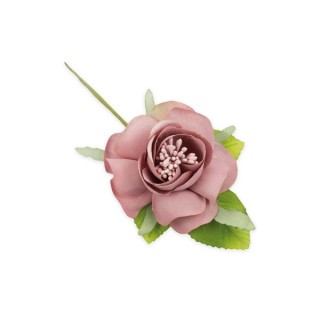 Camelia con foglie rosa antico | CarinCasa