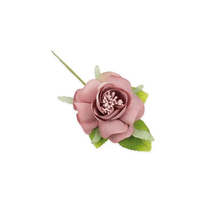 Camelia con foglie rosa antico | CarinCasa