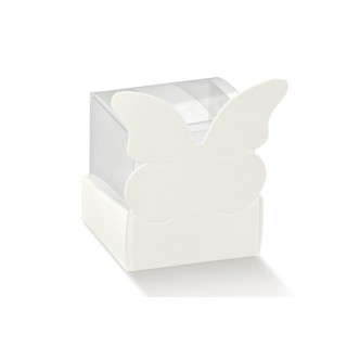 Scatola farfalla con scatola pvc trasparente 40 x 40 x 60…