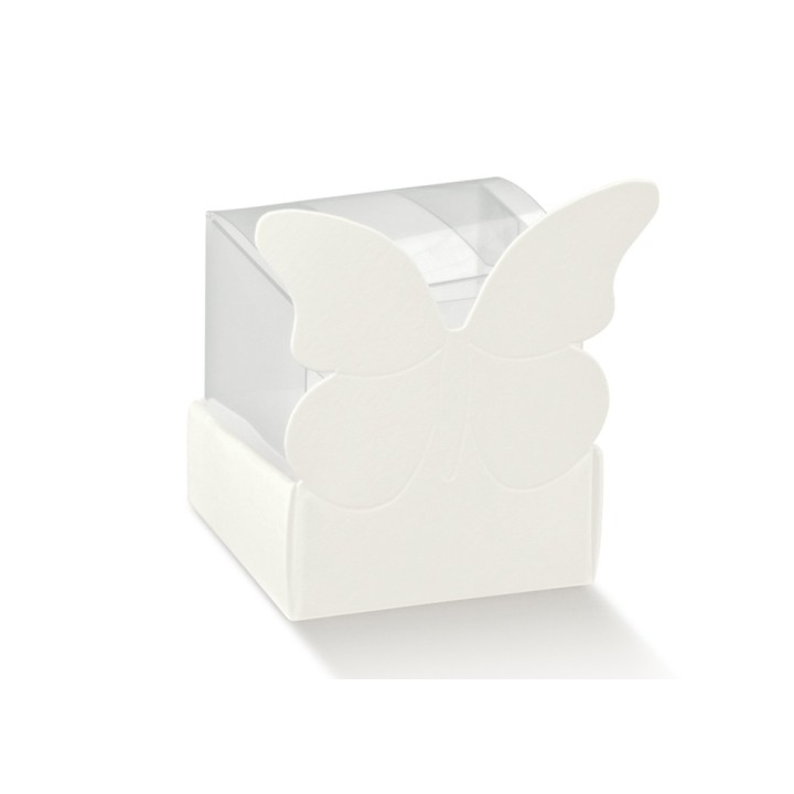 Scatola farfalla con scatola pvc trasparente 40 x 40 x 60…