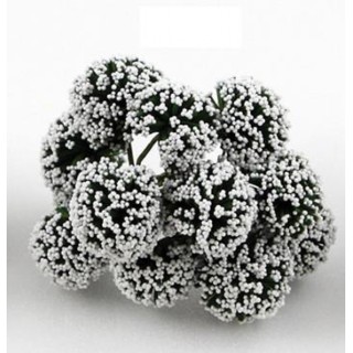 Fiore nebbiolina bianca | CarinCasa