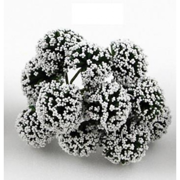 Fiore nebbiolina bianca | CarinCasa