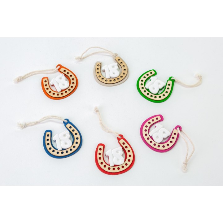 Appendino ferro di cavallo 18 anni compleanno multicolor…