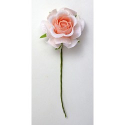 Rosa vesuvio color pesco