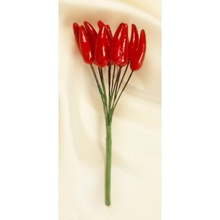 Peperoncino rosso | CarinCasa