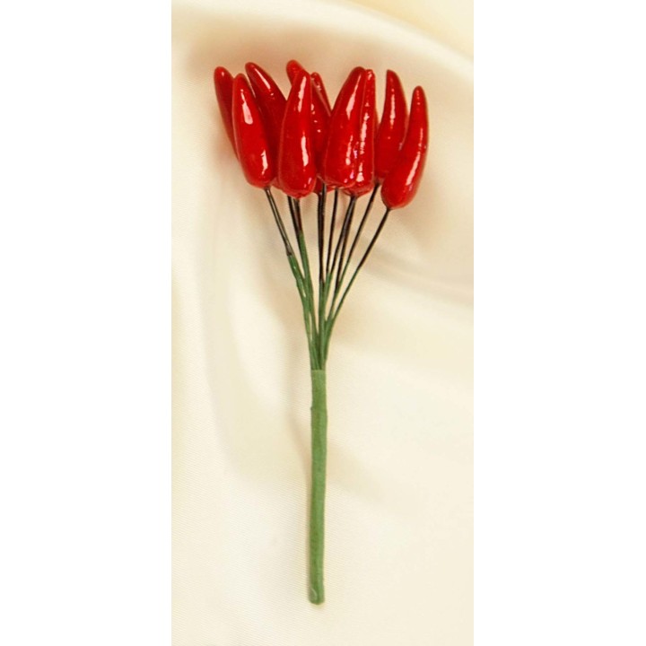 Peperoncino rosso | CarinCasa