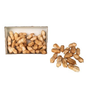 Arachidi 50 pezzi uso ornamentale 4x2 cm | CarinCasa