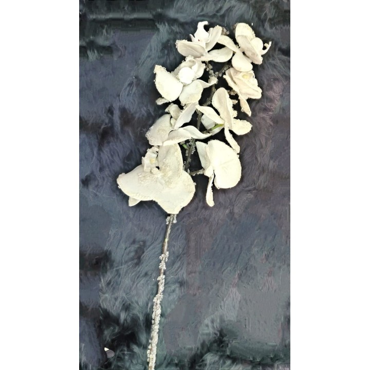 Fiore Phalaenopsis spray con 8 fiori 75 cm bianco |…