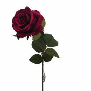 Rosa singola bordeaux 65 cm | CarinCasa