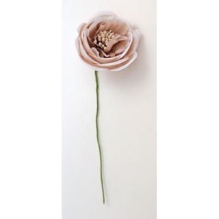 Ranuncolo 3,5 cm diametro fango | CarinCasa