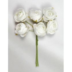 Rosellina baby bianco avorio