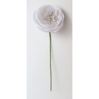 Ranuncolo 3.5 cm bianco | CarinCasa