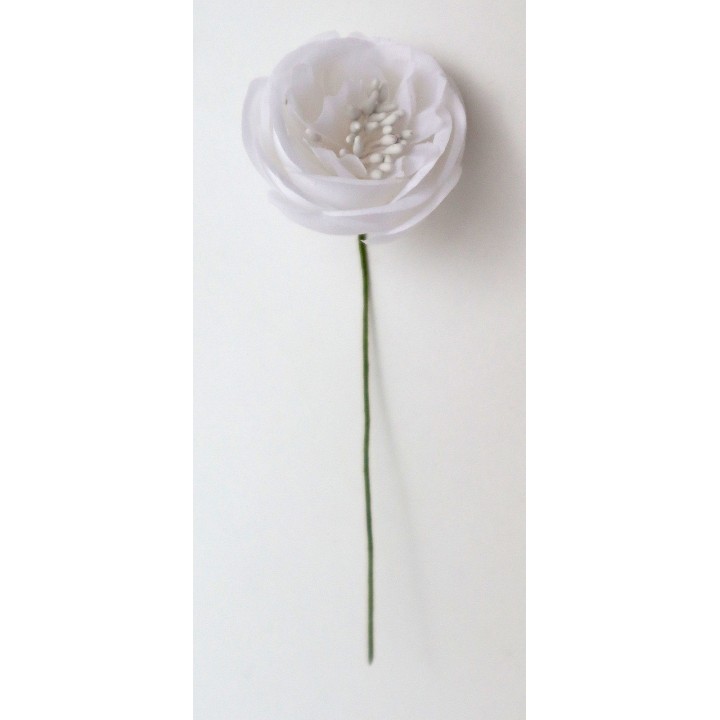 Ranuncolo 3.5 cm bianco | CarinCasa