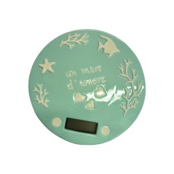 Bilancia porcellana mare verde 18 cm