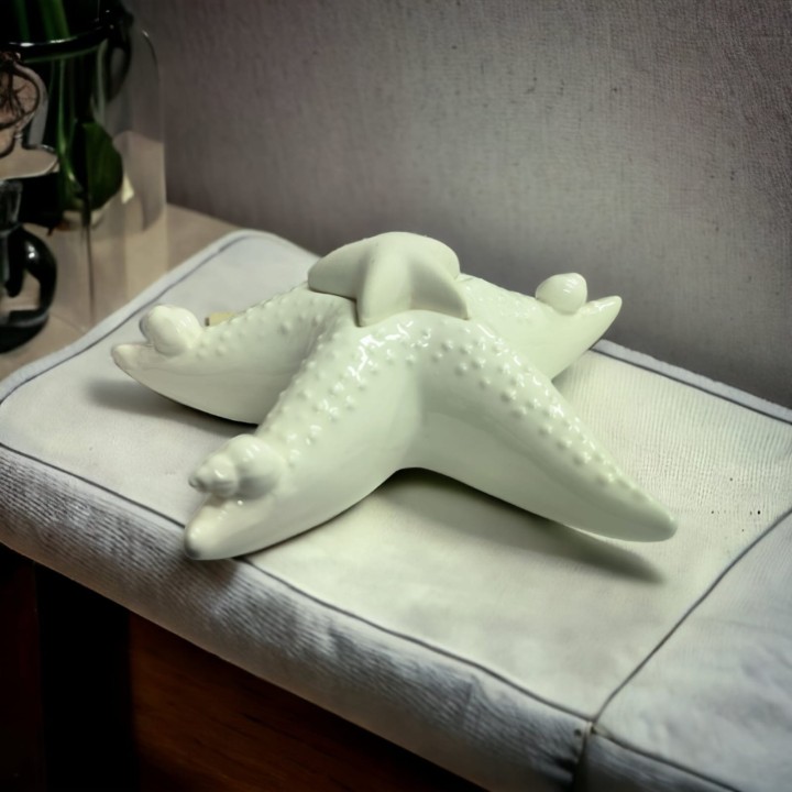 Stella marina profumatore sant'etienne malvagni 18 cm |…