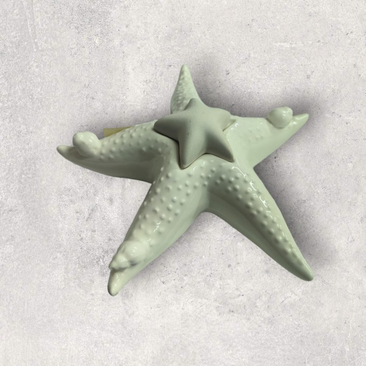 Stella marina profumatore sant'etienne malvagni 18 cm |…