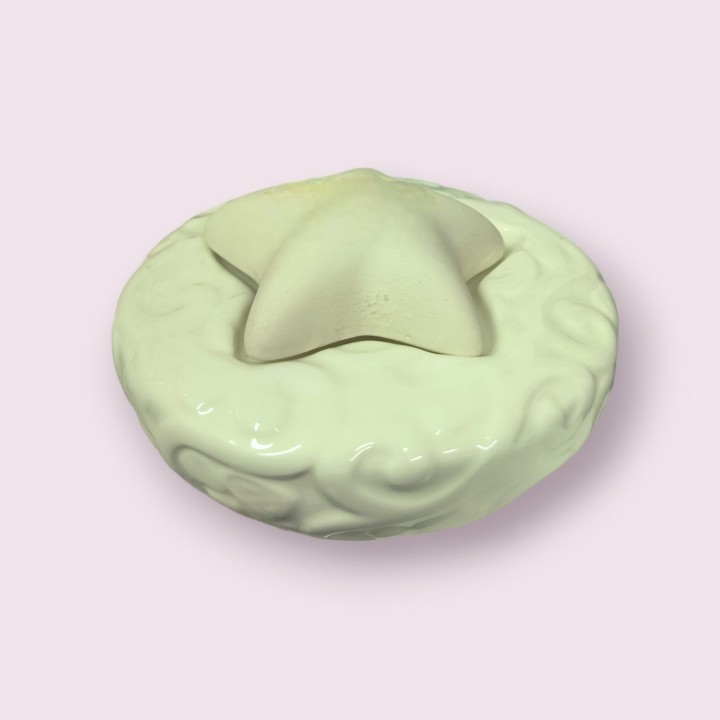 Profumatore tondo stella sant'etienne 12x7 cm | CarinCasa