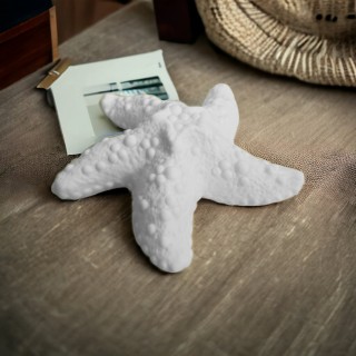 Lampada Stella marina led in ceramica 14 cm | CarinCasa