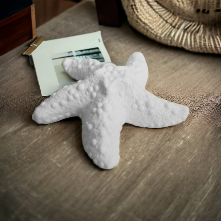 Lampada Stella marina led in ceramica 14 cm | CarinCasa