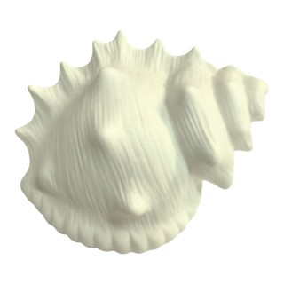 Conchiglia nautilus con led ceram ad emozioni 14x9 cm |…