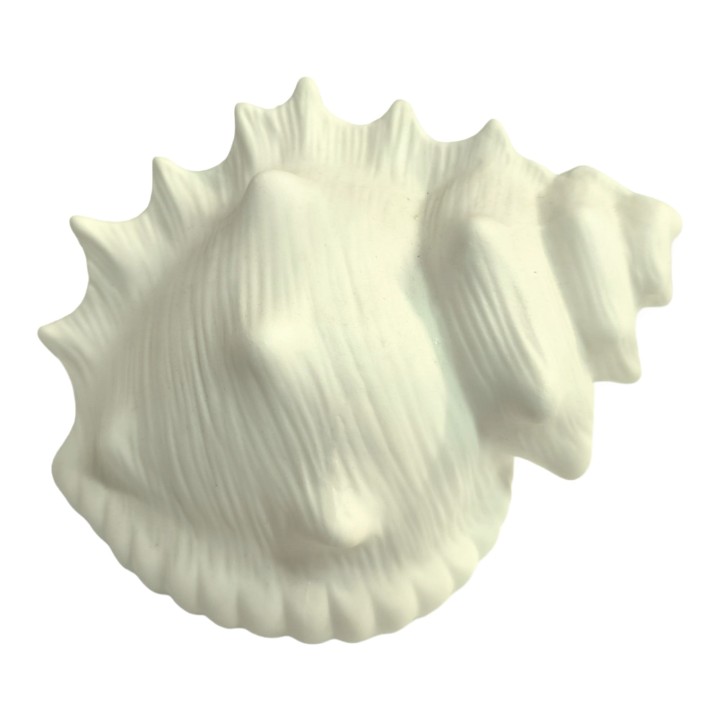 Conchiglia nautilus con led ceram ad emozioni 14x9 cm |…