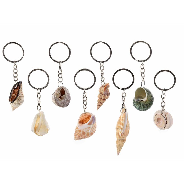 Portachiave con conchiglia marina Misure: da 2,5cm a…