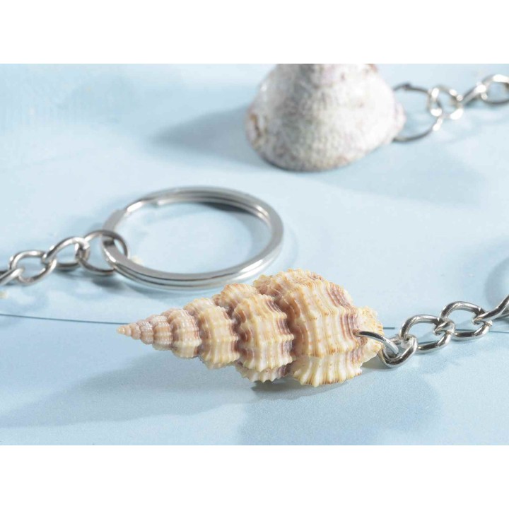 Portachiavi con conchiglia marina
