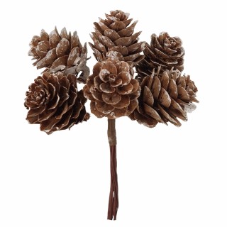 Pigna naturale Ø 2,5 cm | CarinCasa