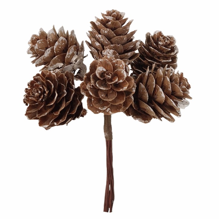 Pigna naturale Ø 2,5 cm | CarinCasa