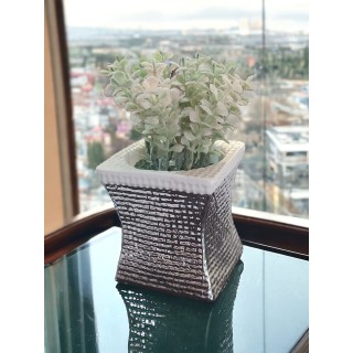 Cestino quadro argento con piantina 7,5 x 14 cm | CarinCasa