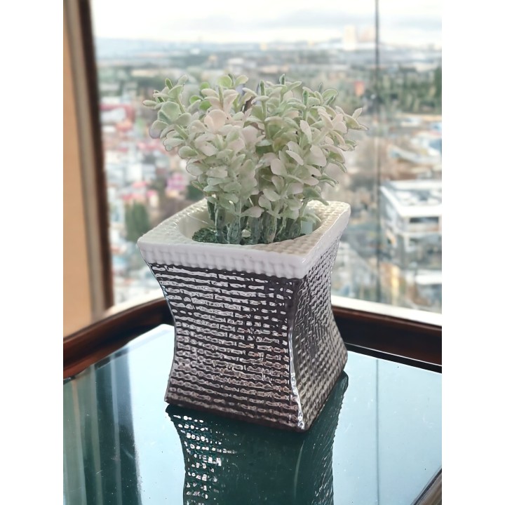 Cestino quadro argento con piantina 7,5 x 14 cm | CarinCasa