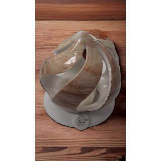 Dubai shabby lucidadubai shabby lucida 10x12 cm | CarinCasa