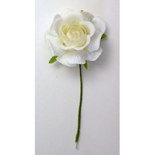 Rosa Vesuvia bianca crema | CarinCasa